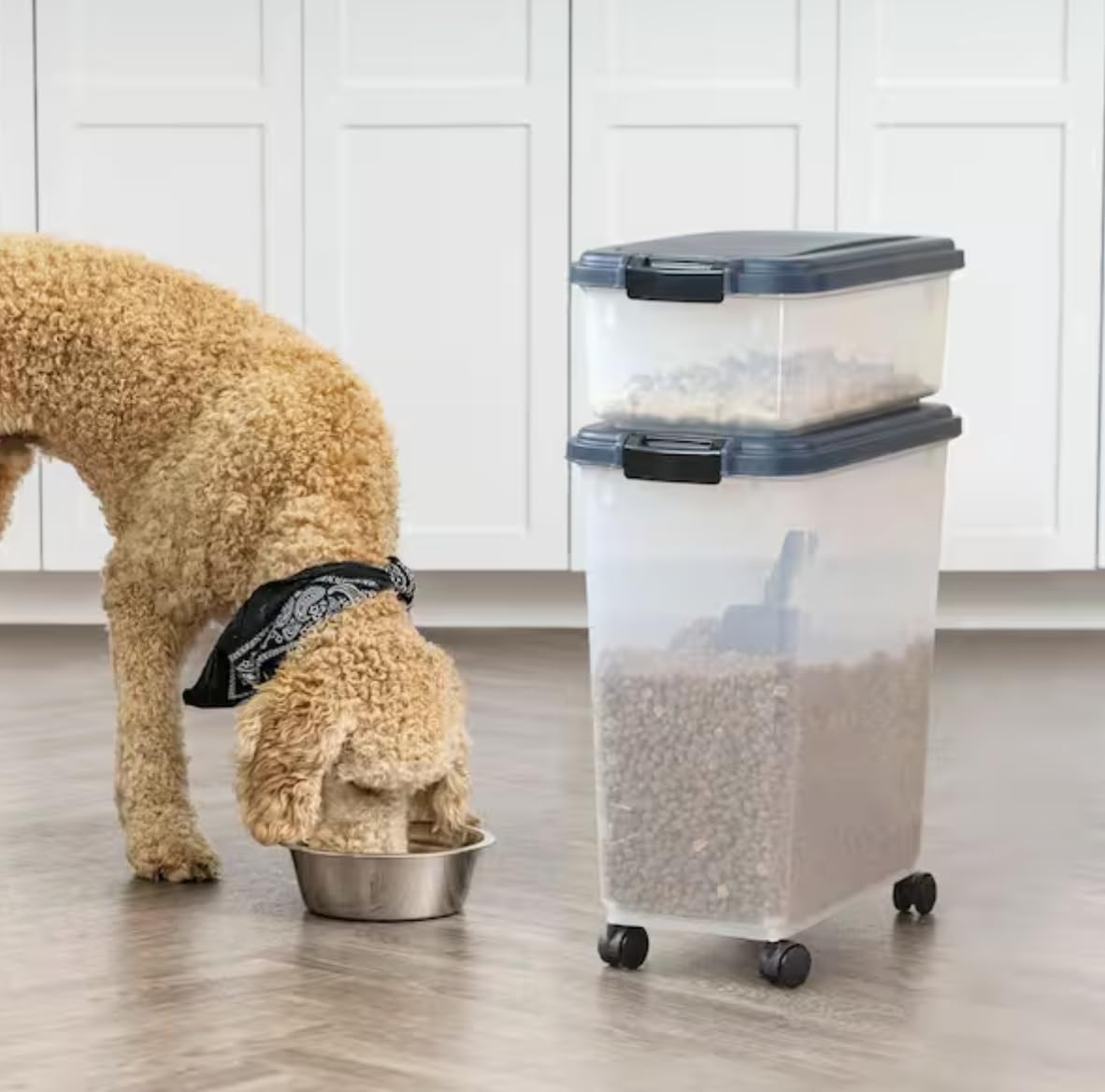 Airtight Pet Food Storage Combo with Scoop I45833