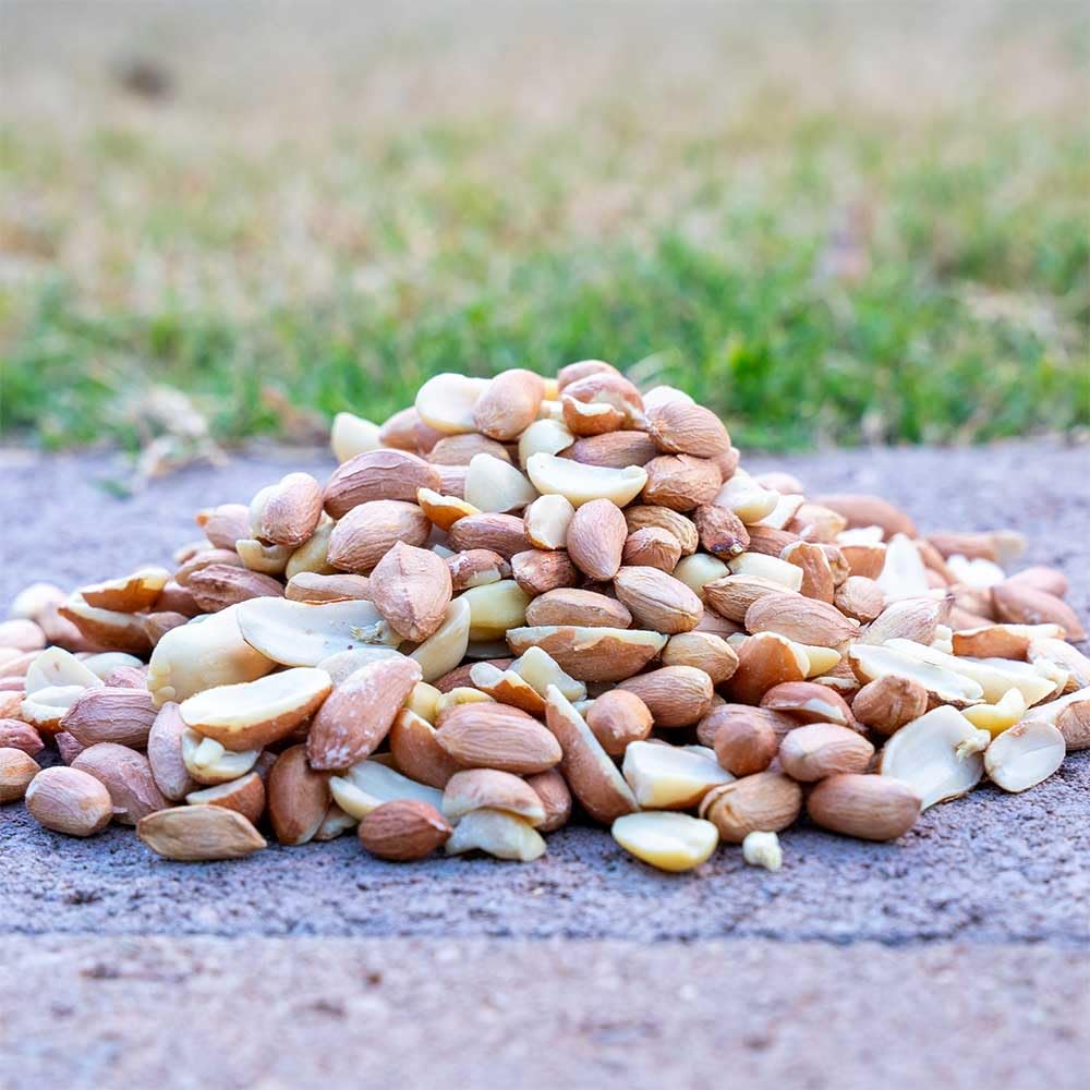 10 Pound Peanuts Z234300