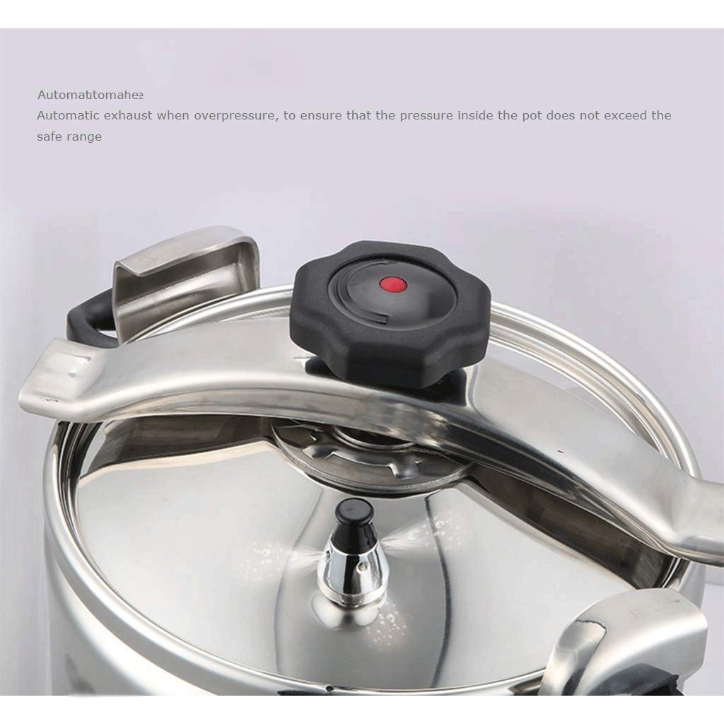 Stainless Steel Electric Pressure Cooker 3L Q7846
