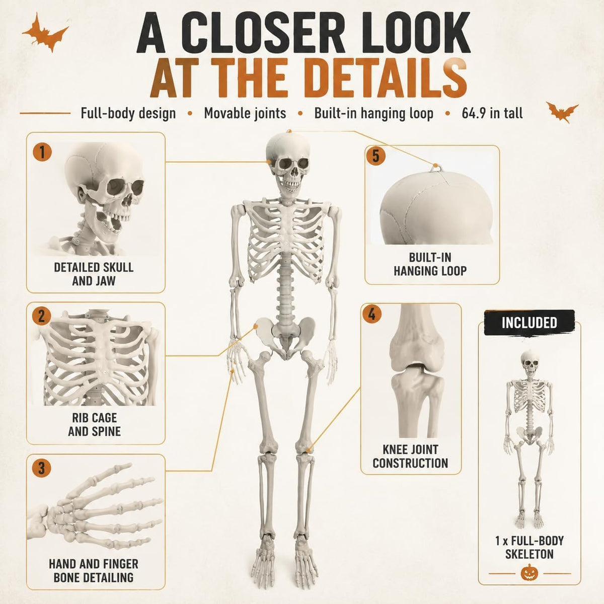 Life Size Posable Skeleton Prop Decoration S101096