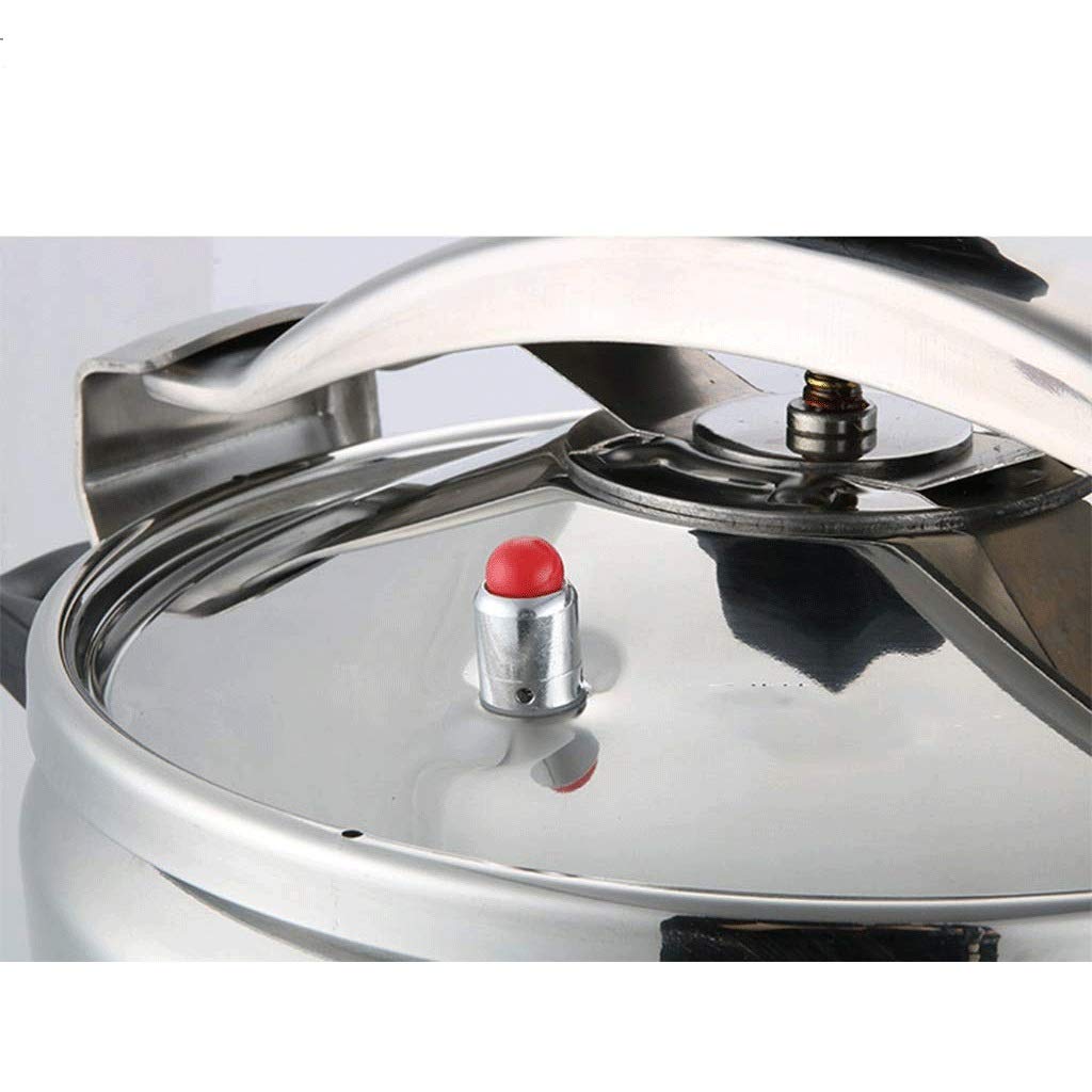 Stainless Steel Electric Pressure Cooker 3L Q7846