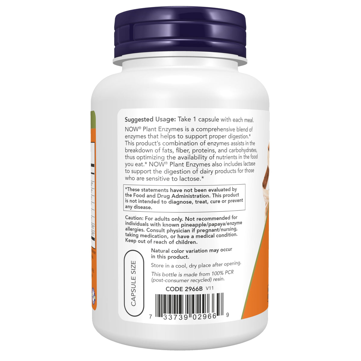 Plant Enzymes Lactase Protease Bromelain 120 Veg Caps M2240