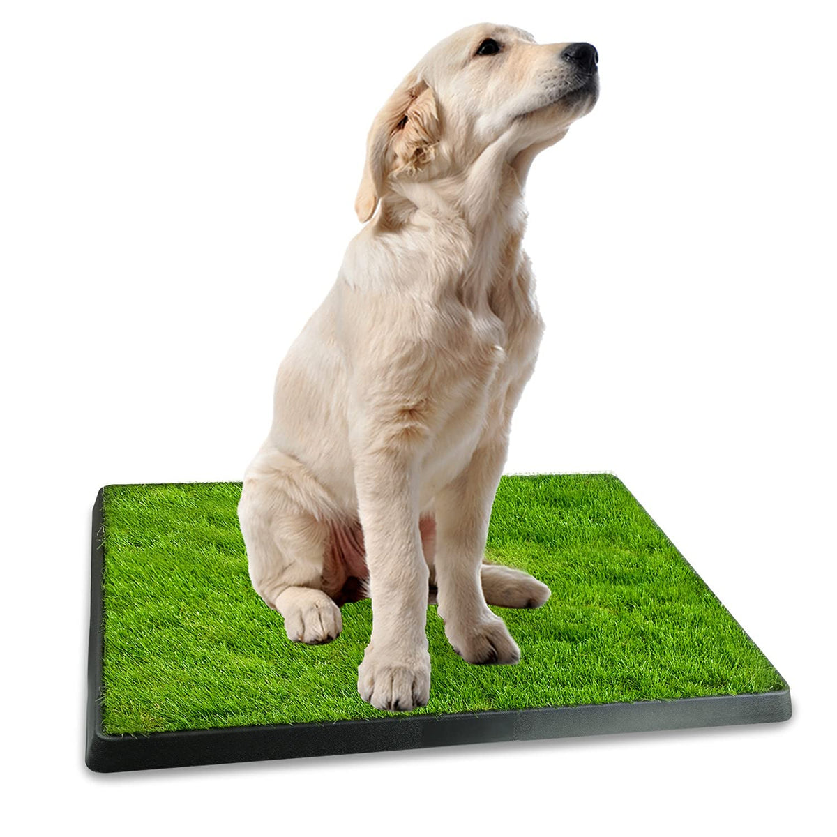 Indoor Dog Toilet with Artificial Grass 25" x 20" F57259