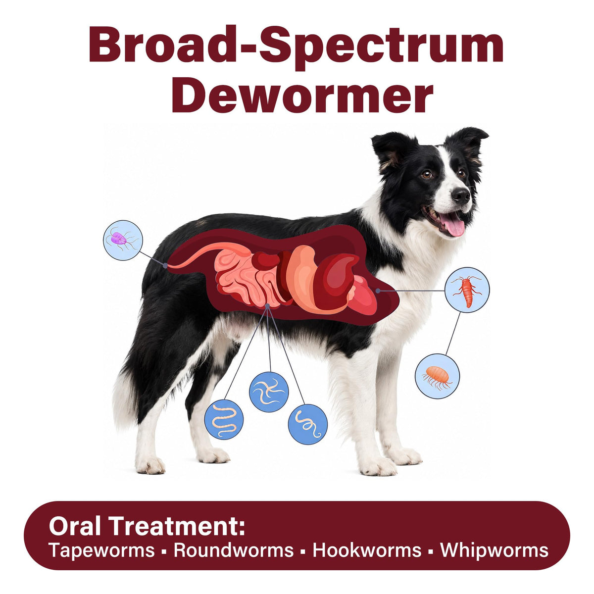 Dog Dewormer 30 Tablets Beef Flavor R2813
