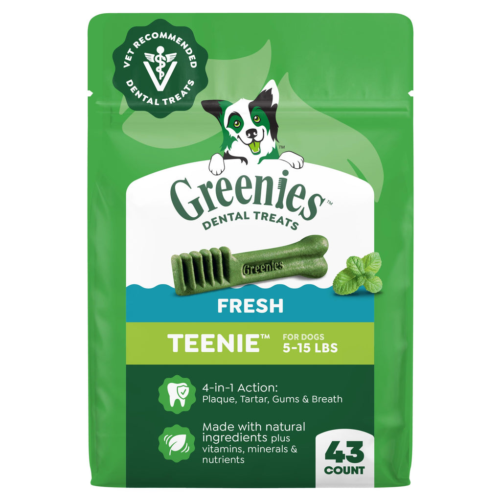 Fresh Mint Dental Dog Treats 43 Count N2269