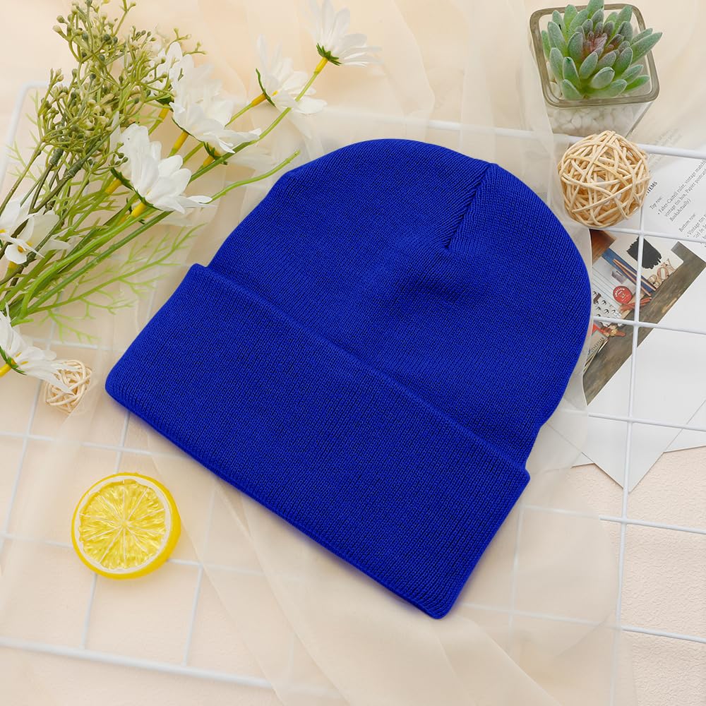 Unisex Winter Beanie V5345