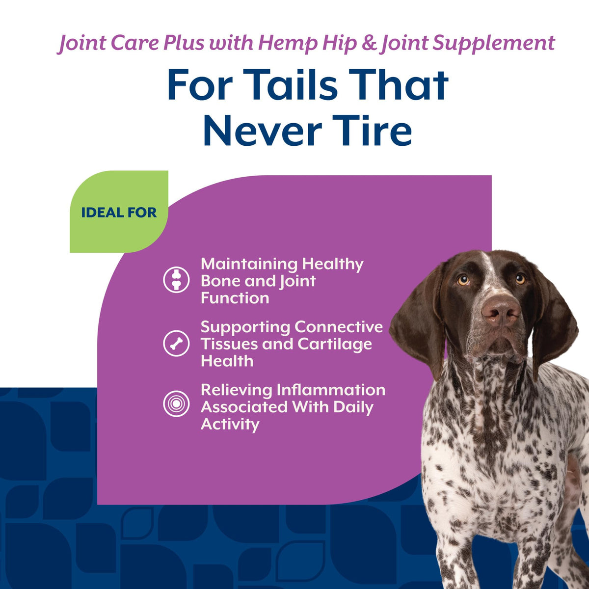 Hip & Joint Supplement for Dogs 120ct D3460