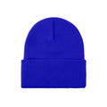 Unisex Winter Beanie V5345