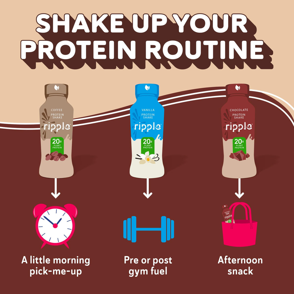 Chocolate Plant Based Protein Shake 20g Pea Protein Vegan Non GMO 12 Fl Oz Bottles Pack of 12 L319