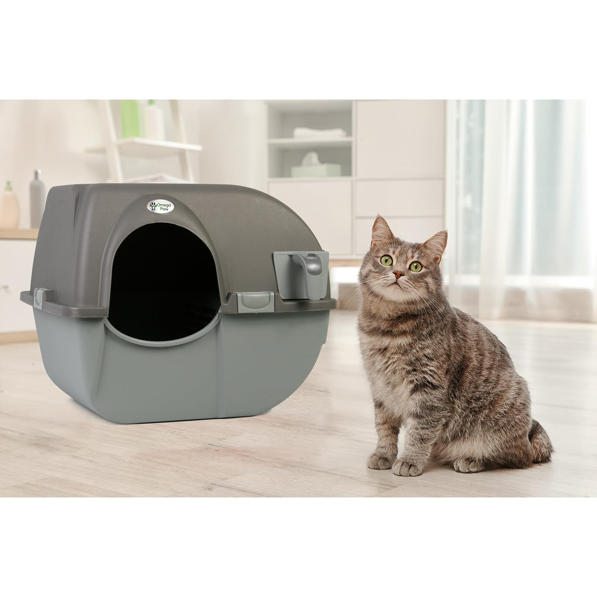 Self Cleaning Litter Box Regular Size Grey E612511