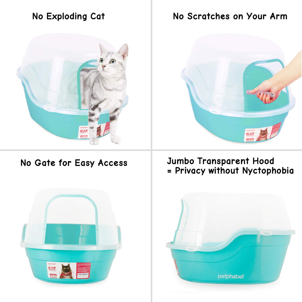 Jumbo Extra Large Teal Hooded Cat Litter Box R2586