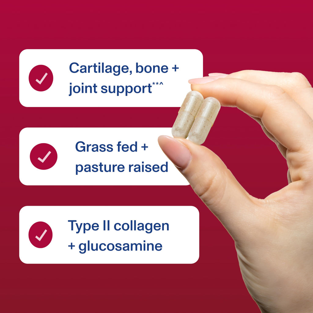 Cartilage Collagen Type II 120 Capsules F121