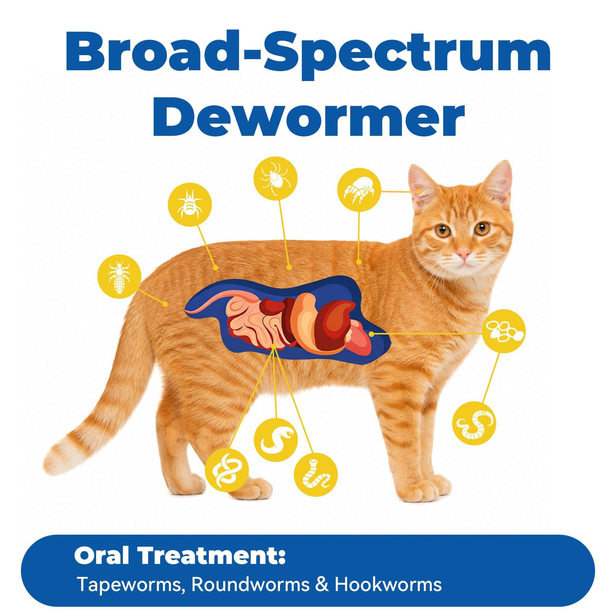 7 Way De-Wormer Chewable Tablets for Dogs & Cats, 50 Count T10110