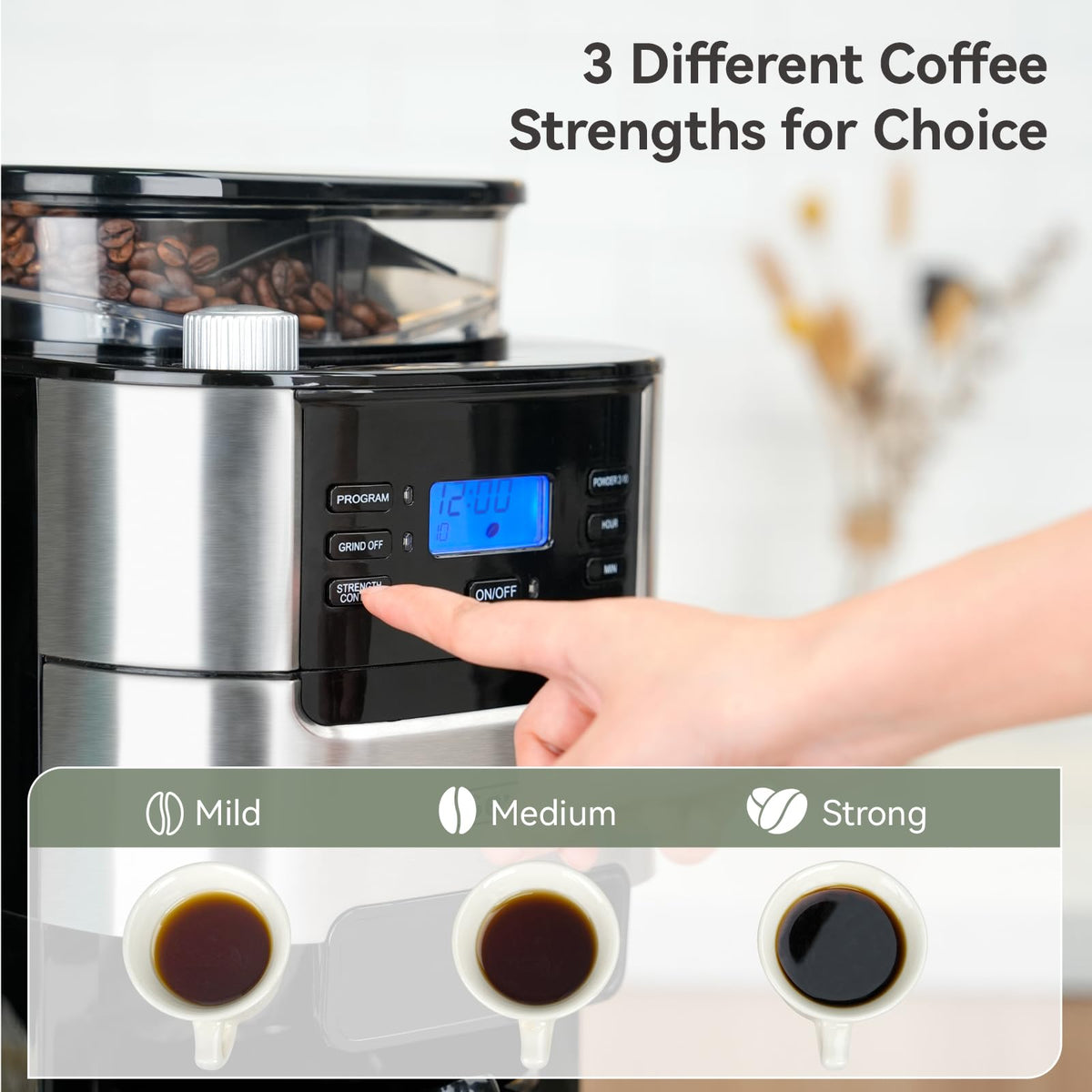 10-Cup Grind & Brew Coffee Maker with Burr Grinder F8404