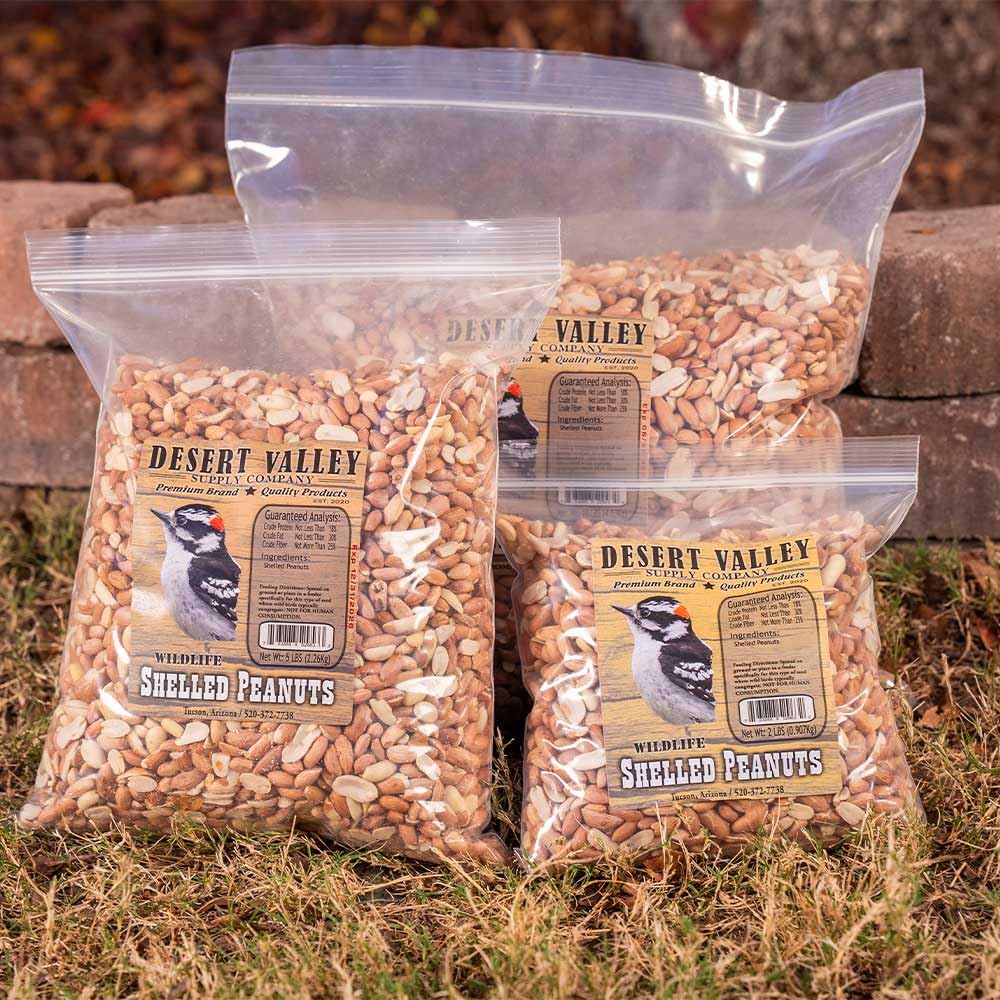 10 Pound Peanuts Z234300