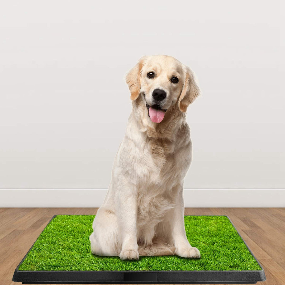 Indoor Dog Toilet with Artificial Grass 25" x 20" F57259