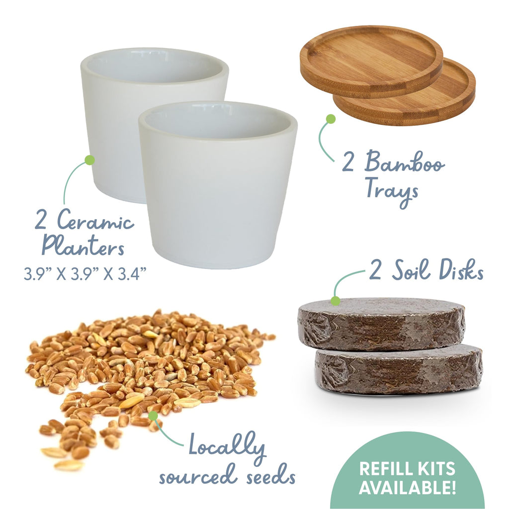 Organic Cat Grass Growing Kit with Seed, Soil and Two Ceramic Planters U28062