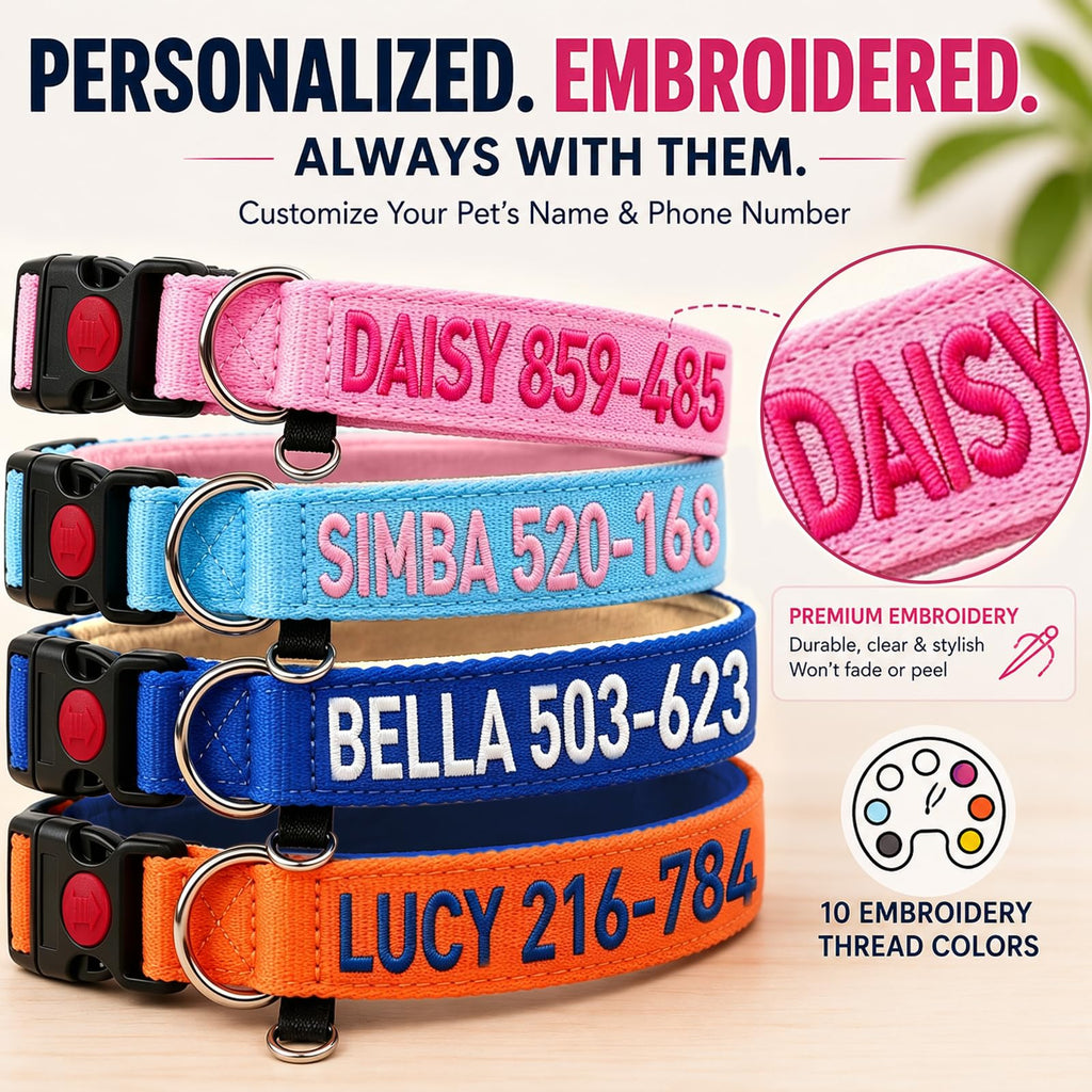 Custom Embroidered Dog Collar with Name and Number H601