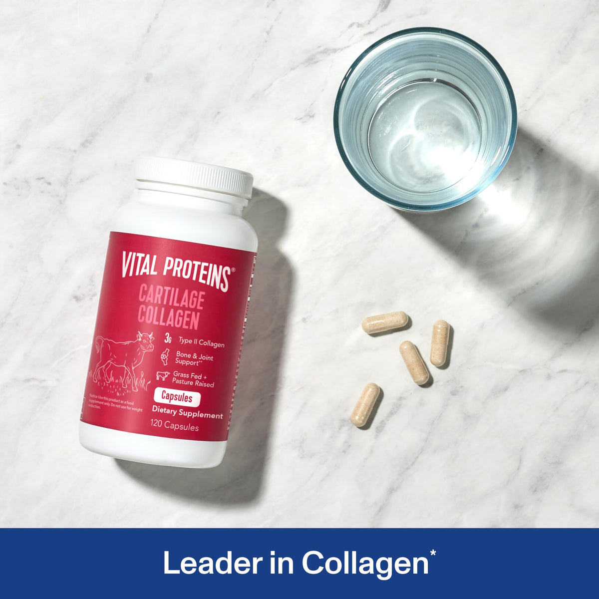 Cartilage Collagen Type II 120 Capsules F121