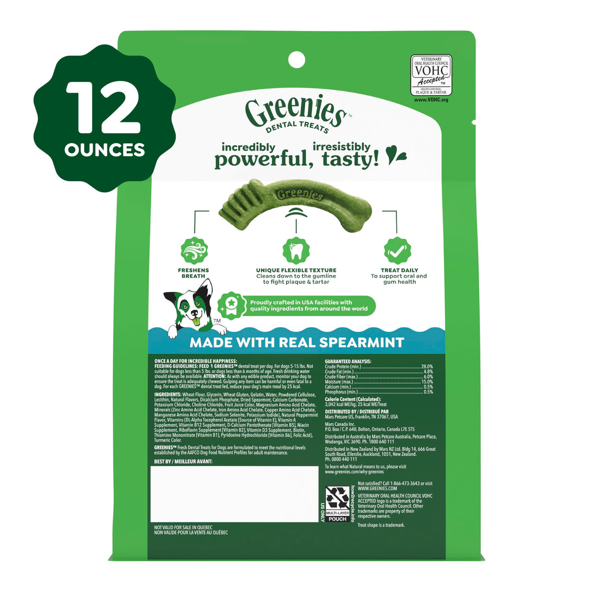 Fresh Mint Dental Dog Treats 43 Count N2269