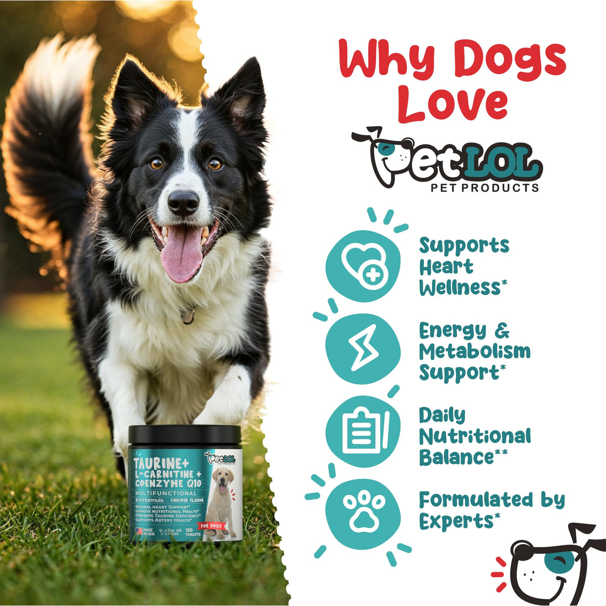 Taurine 500 mg for Dogs V9092
