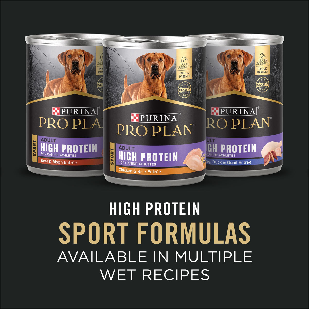 Salmon High Protein Dry Dog Food B740