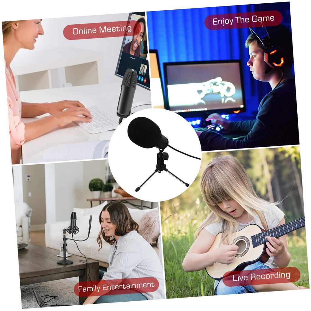 USB Condenser Microphone with Tripod Stand and USB Cable B250