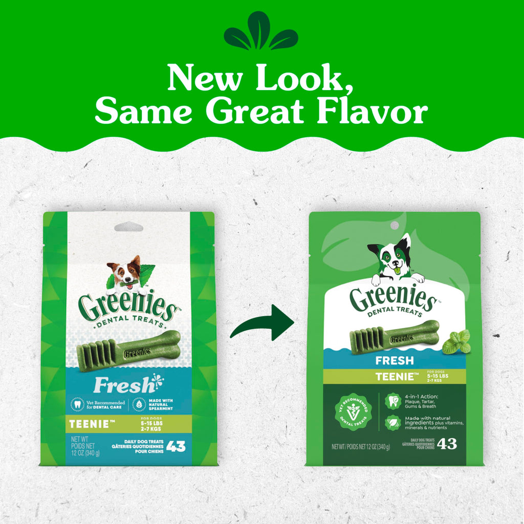 Fresh Mint Dental Dog Treats 43 Count N2269