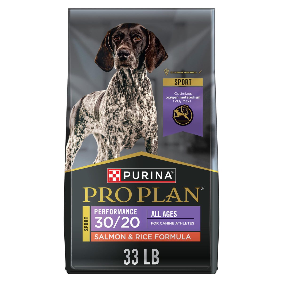 Salmon High Protein Dry Dog Food B740