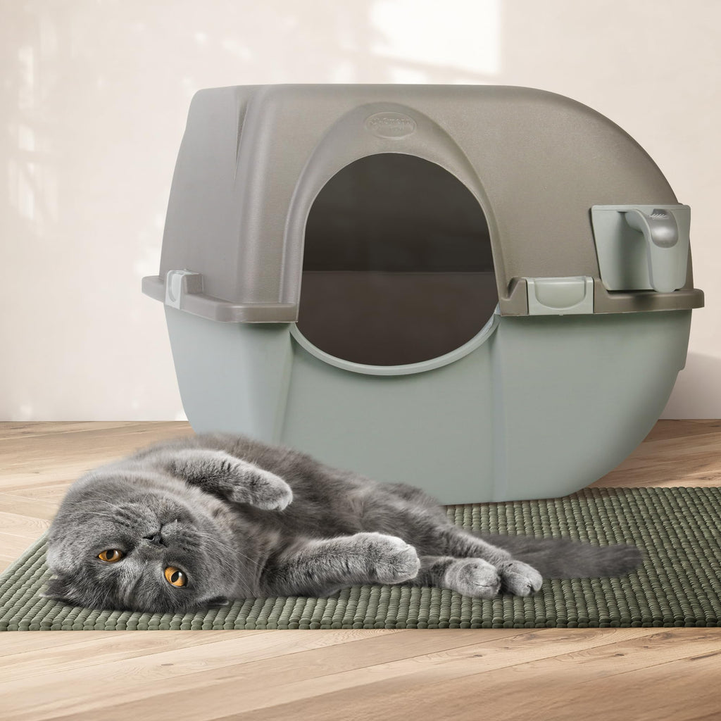 Self Cleaning Litter Box Regular Size Grey E612511