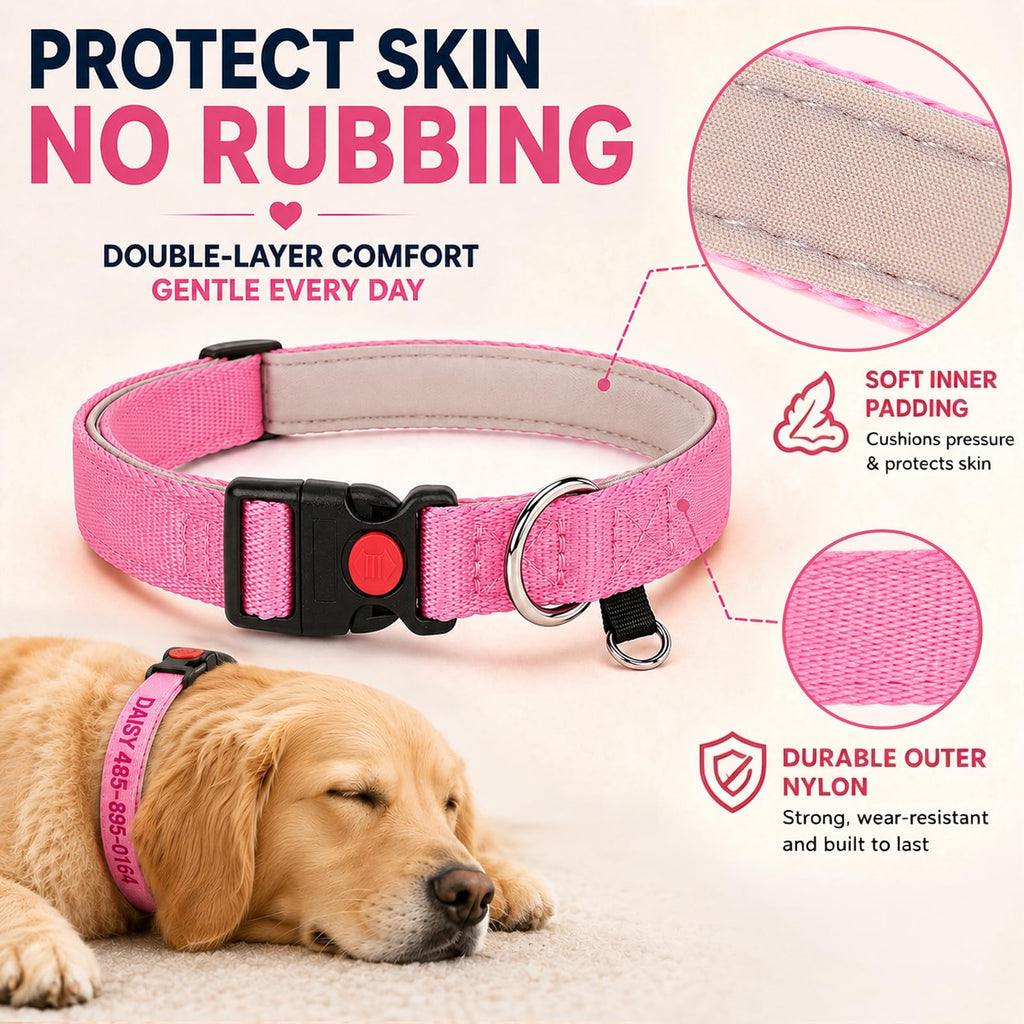 Custom Embroidered Dog Collar with Name and Number H601