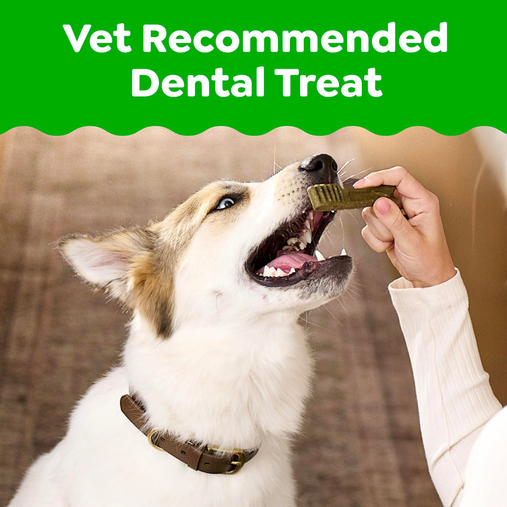 Fresh Mint Dental Dog Treats 43 Count N2269