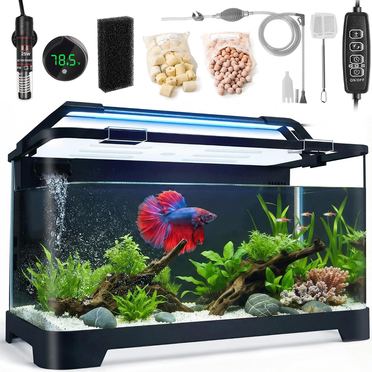 3.5 Gallon Betta Fish Tank W1179