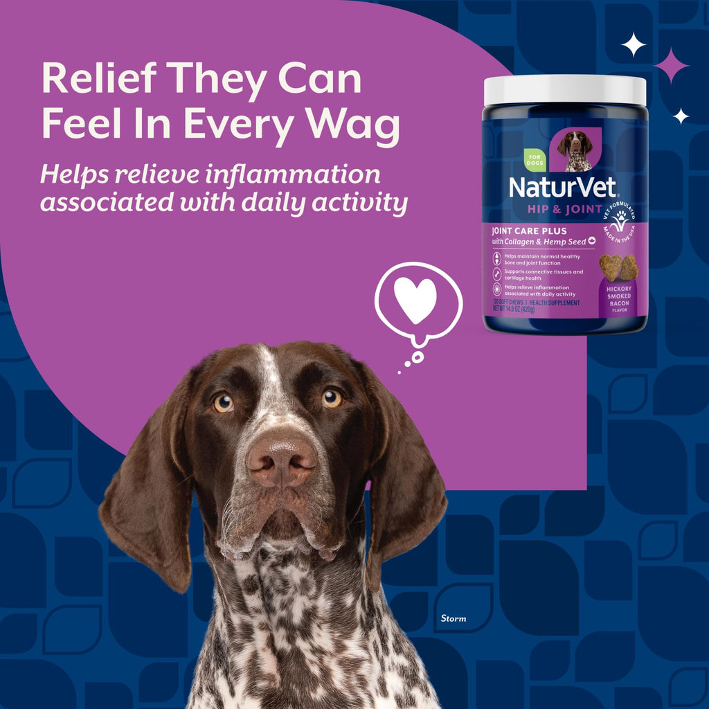 Hip & Joint Supplement for Dogs 120ct D3460