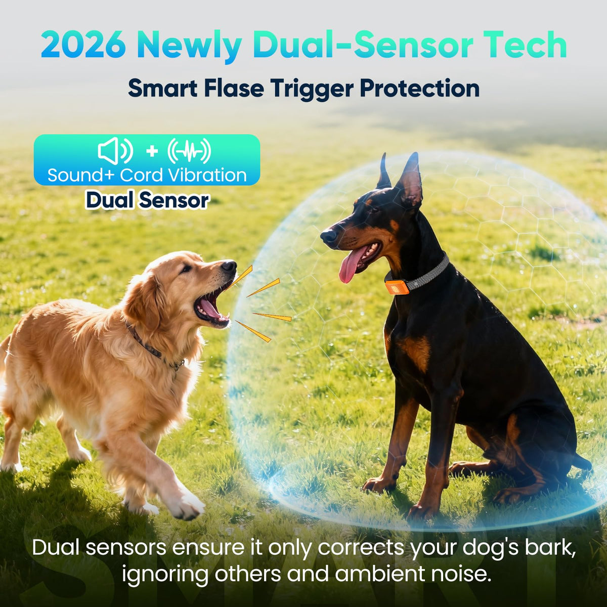 Dog Bark Collar with 7 Sensitivity, 3 Modes T2869