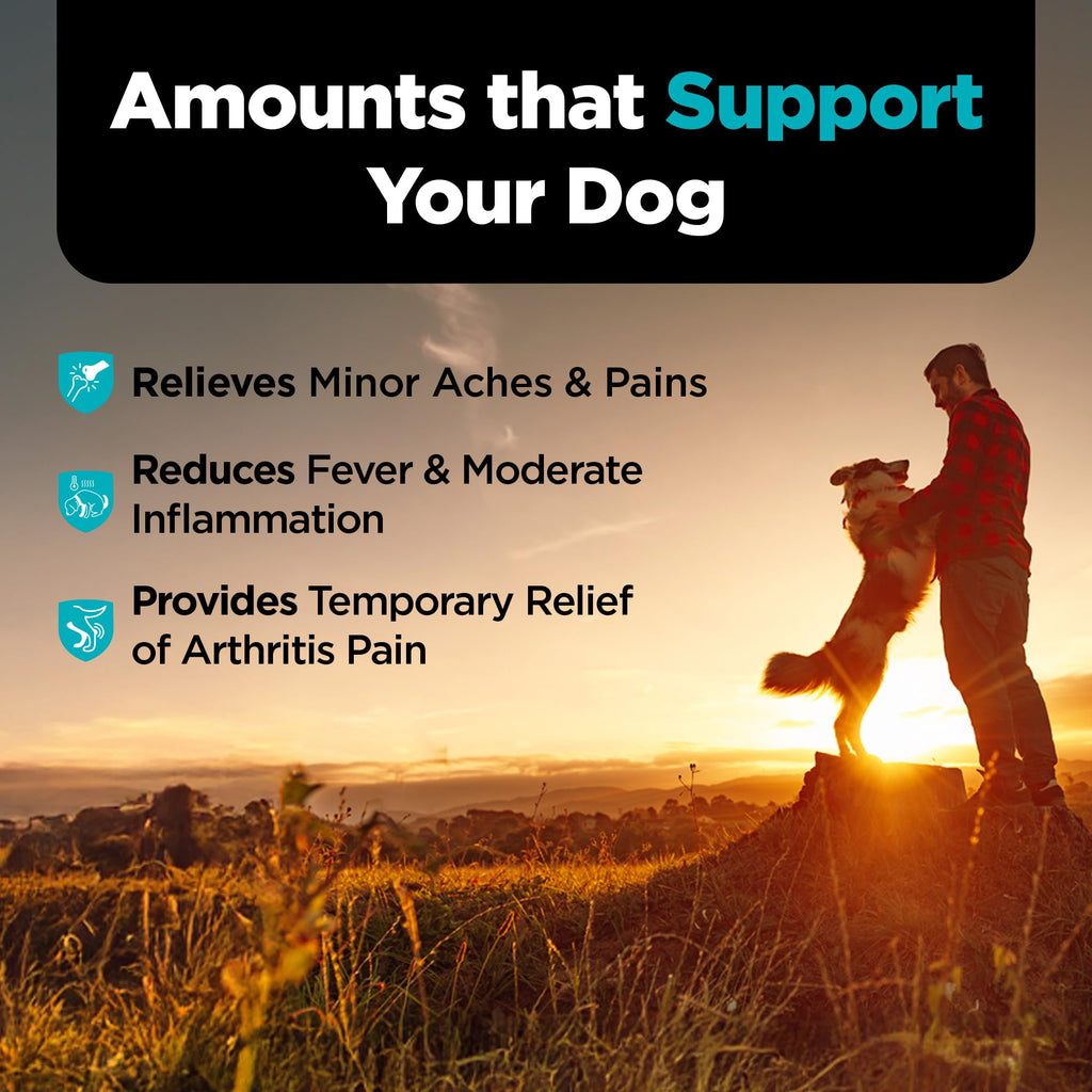 Aspirin Tablets for Large Dogs 300mg 75 Count Q1302