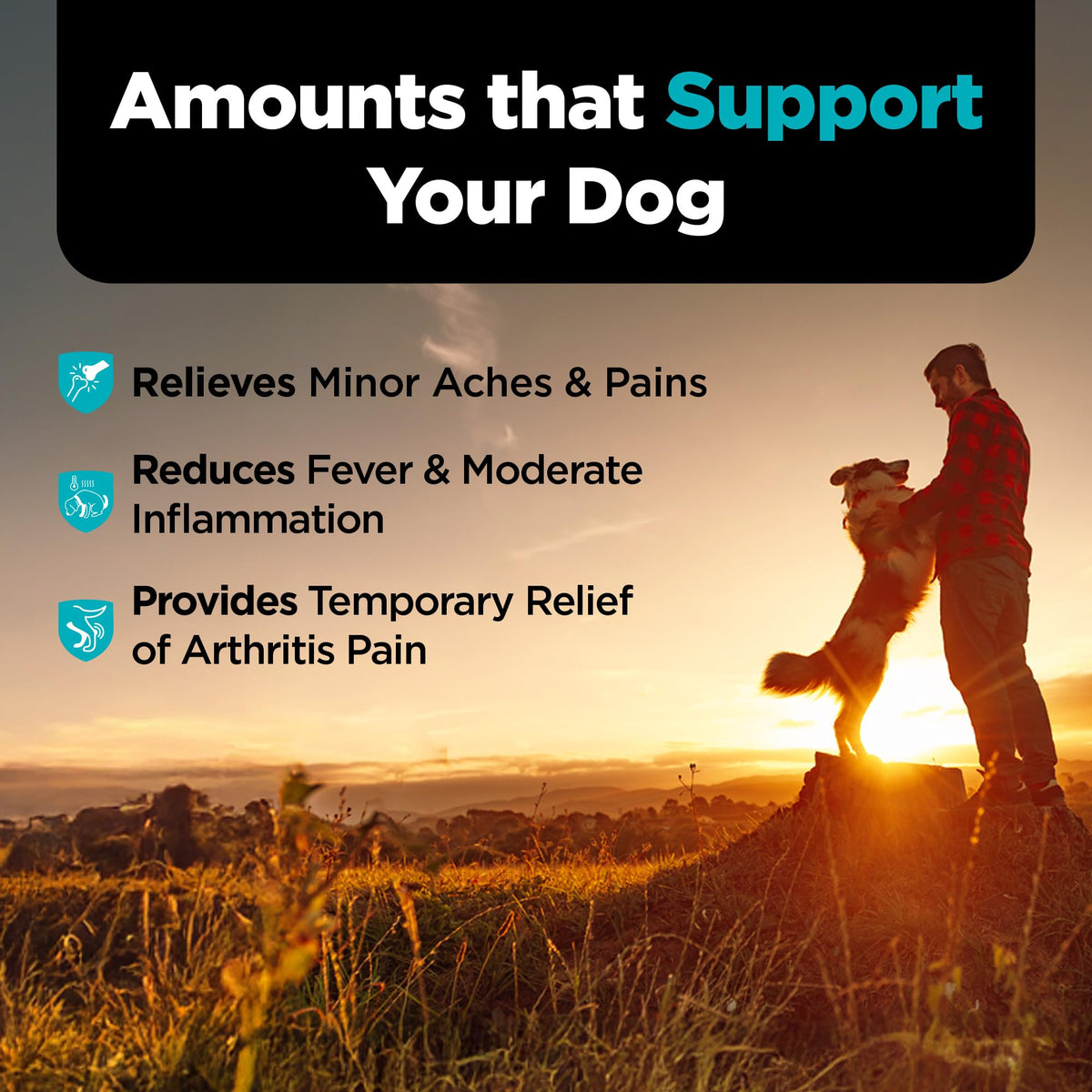 Aspirin Tablets for Large Dogs 300mg 75 Count Q1302