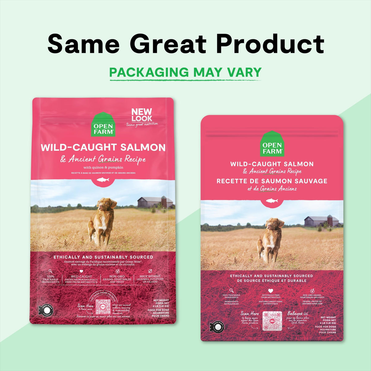 Dry Dog Food 22lb Bag G301182