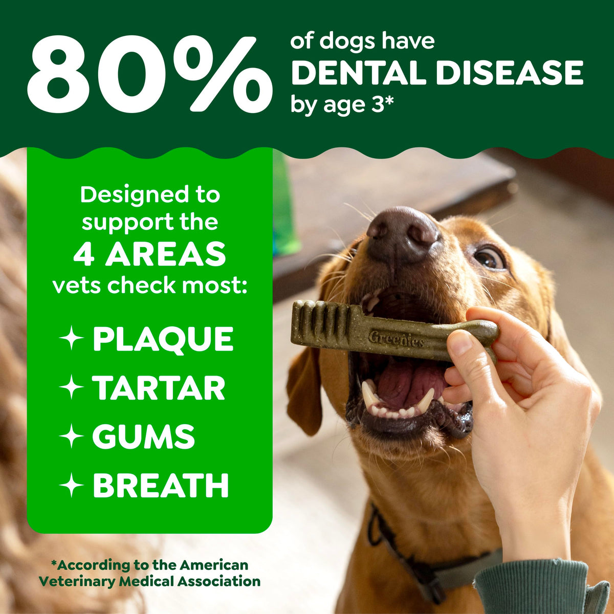 Fresh Mint Dental Dog Treats 43 Count N2269