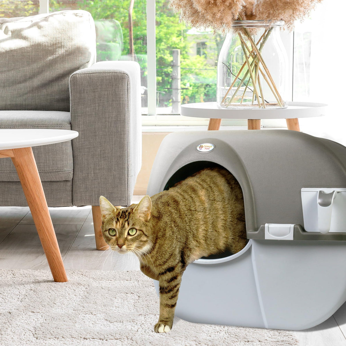 Self Cleaning Litter Box Regular Size Grey E612511