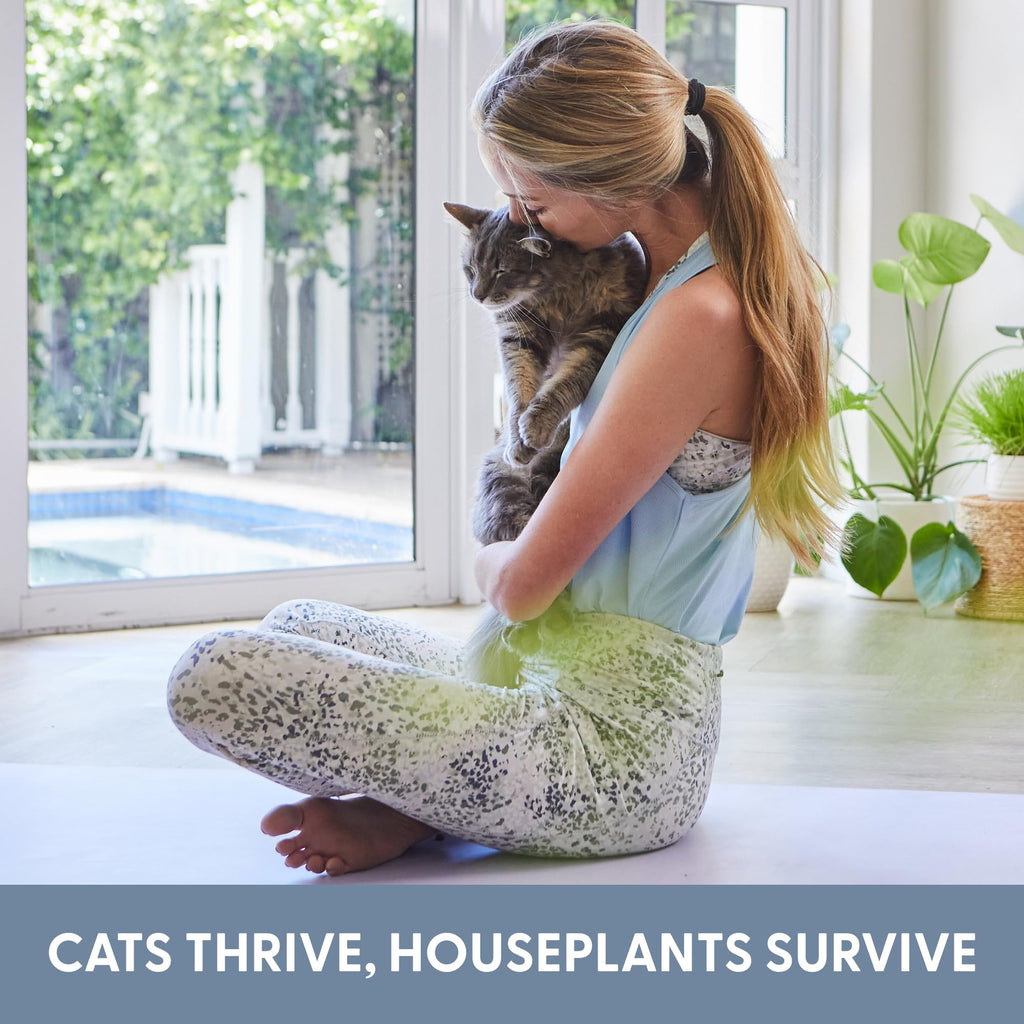 Organic Cat Grass Growing Kit with Seed, Soil and Two Ceramic Planters U28062