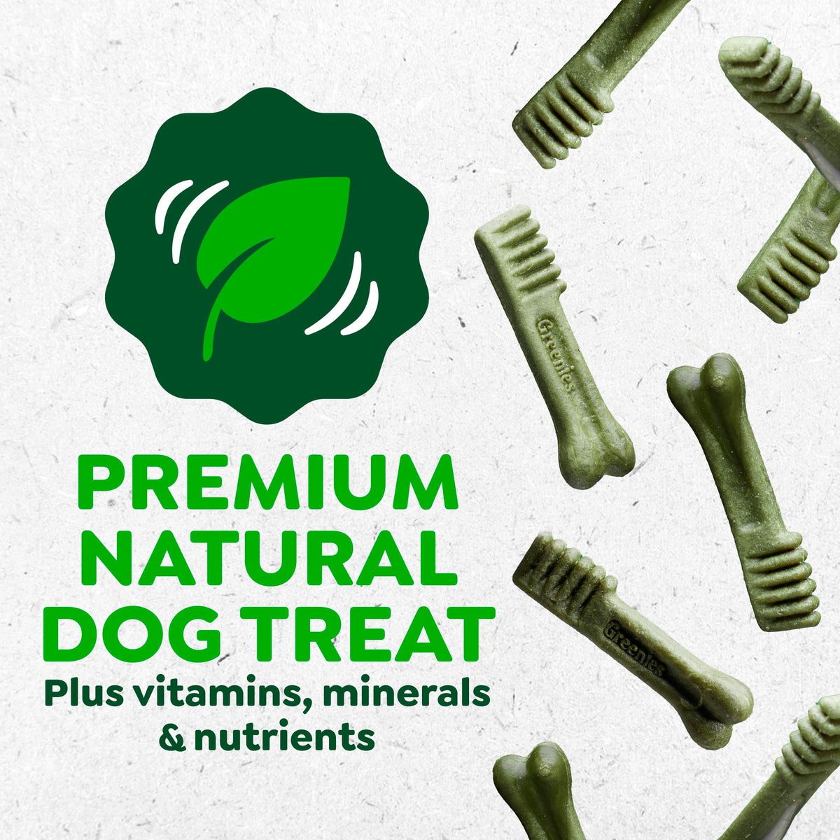 Fresh Mint Dental Dog Treats 43 Count N2269