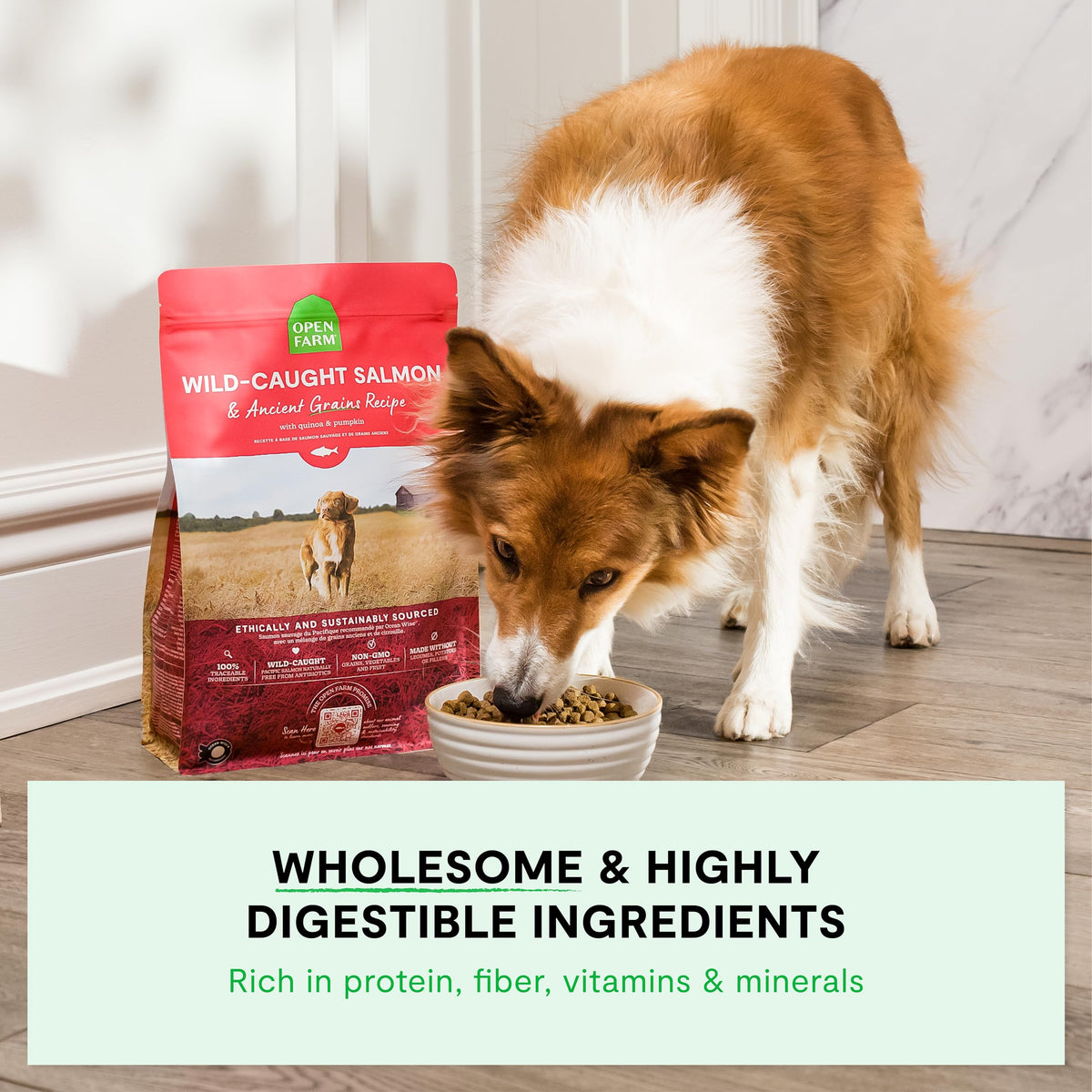 Dry Dog Food 22lb Bag G301182